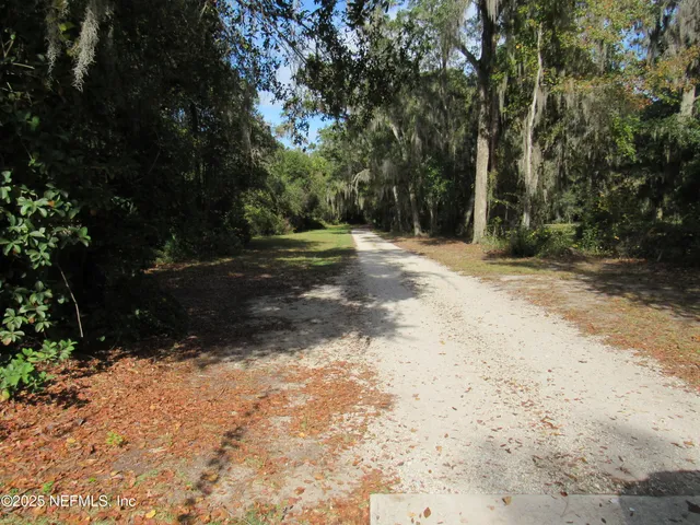 a view of a yard with trees