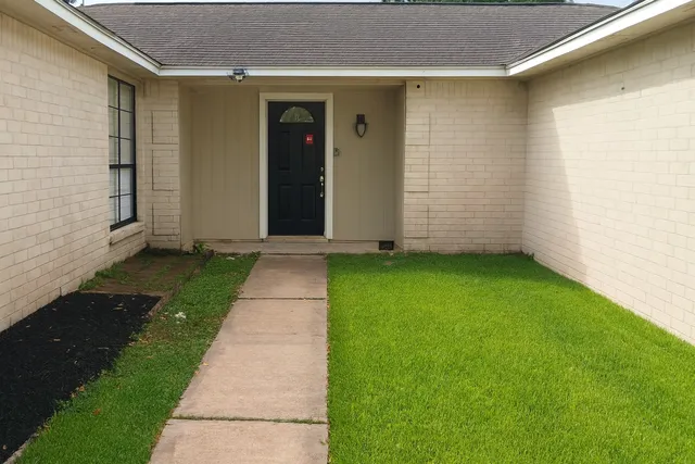 a view of backyard with potted plants