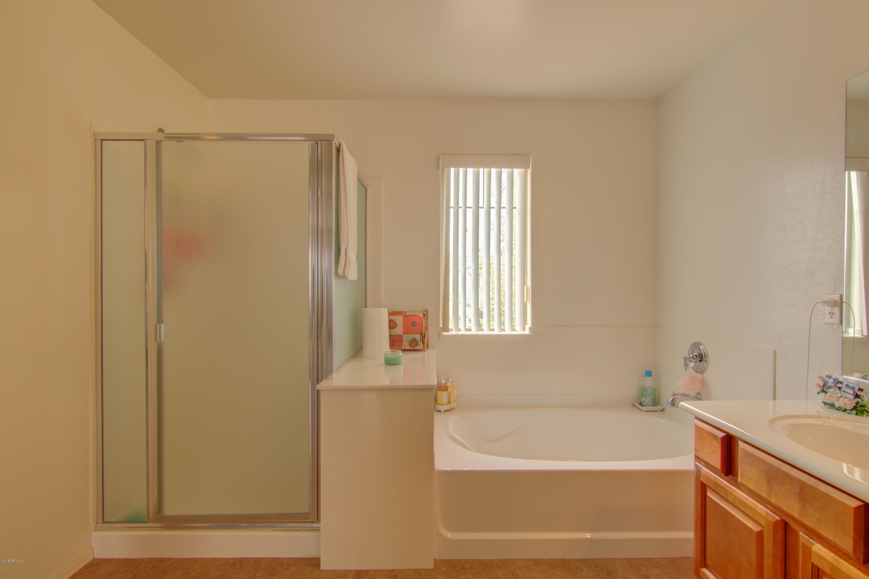 45433 Miramar Road Maricopa, AZ 85139 - Photo 38 of 46 0X6A0100_1_2