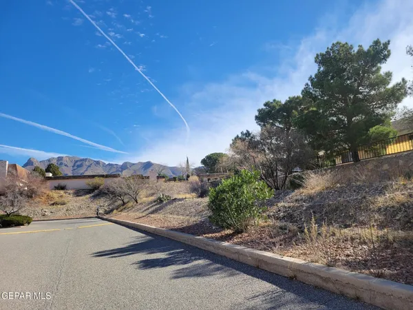 a view of a road from a backyard