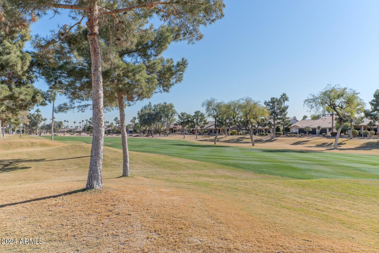 15641 Piccadilly Road Goodyear, AZ 85395 - Photo 3 of 28 Golf Course View