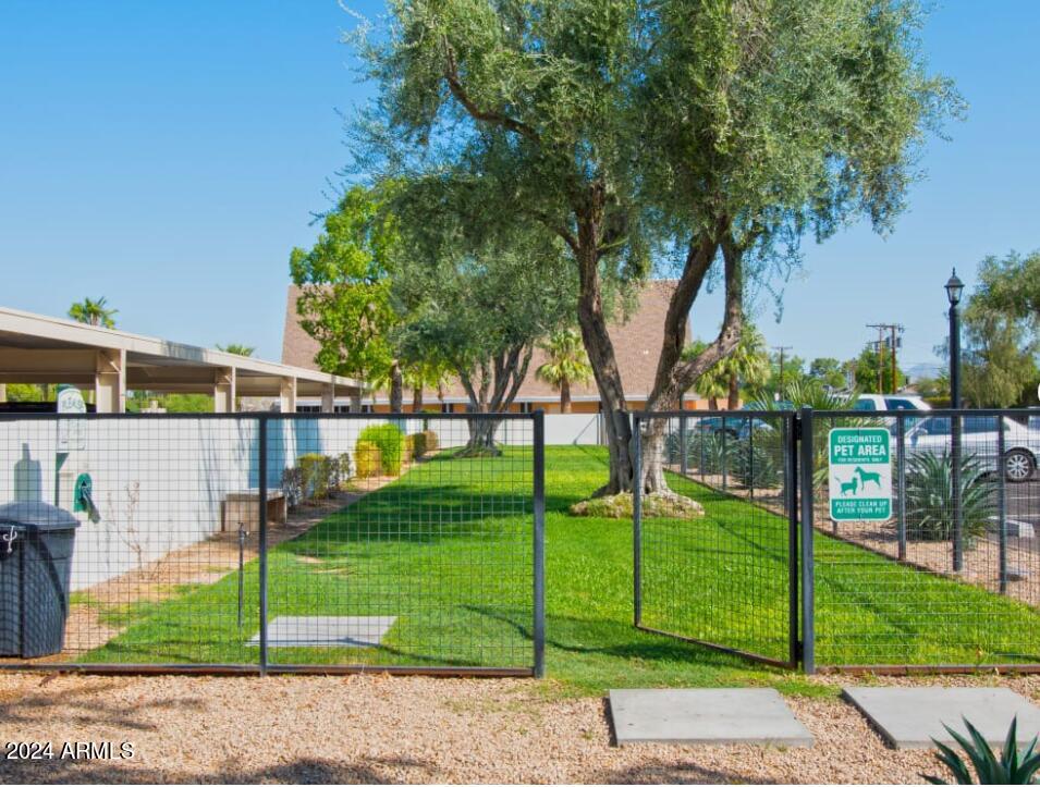8021 East Osborn Road, Unit 2 Scottsdale, AZ 85251 - Photo 10 of 11 Dog Park