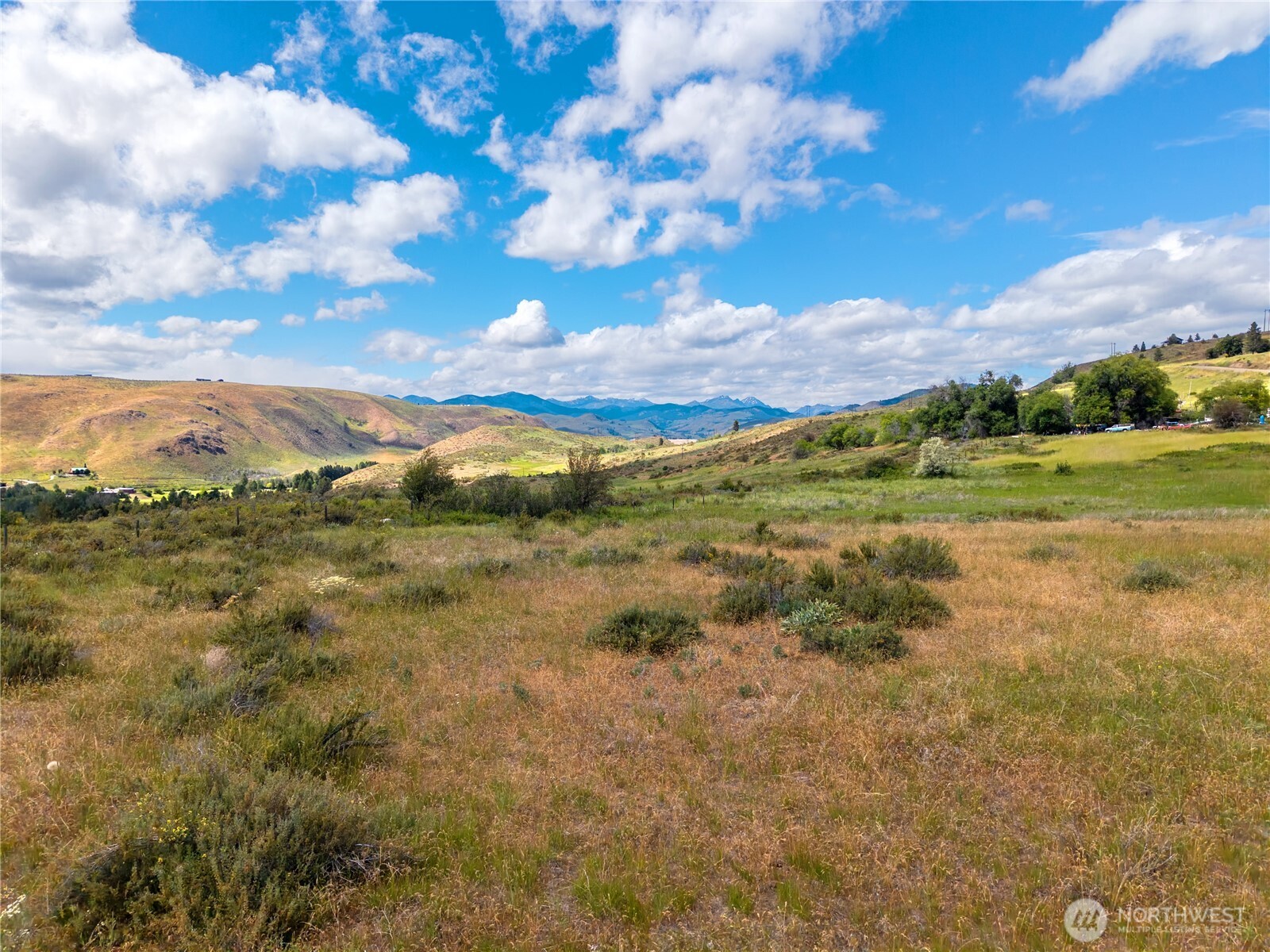 -tbd Bear Creek Road Winthrop, WA 98862 - Photo 7 of 30