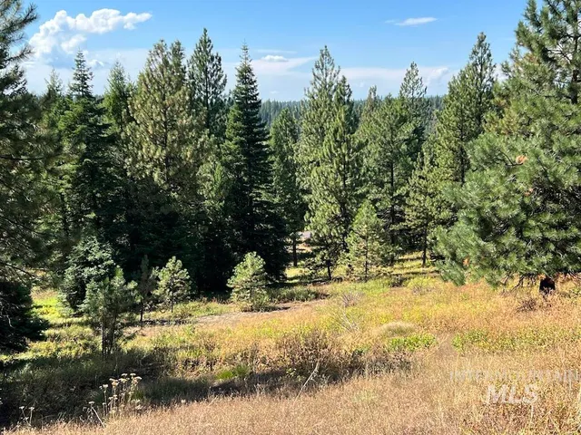 $250,000 | 7 Whitefield Lane, McCall, ID 83638