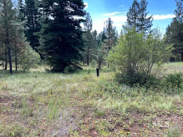 $250,000 | 7 Whitefield Lane, McCall, ID 83638