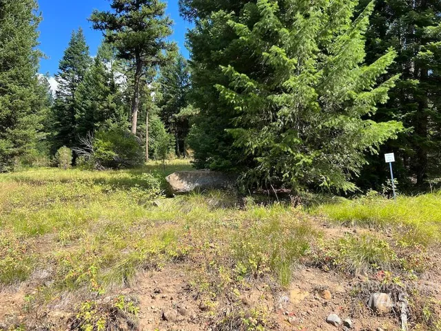 $250,000 | 7 Whitefield Lane, McCall, ID 83638