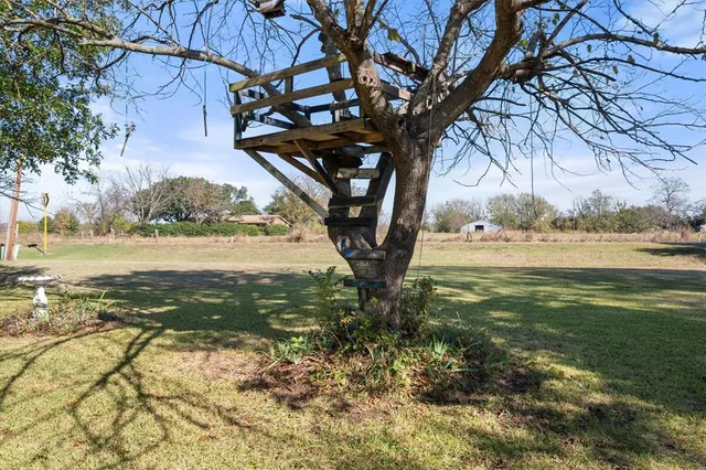 a view of a yard with an trees