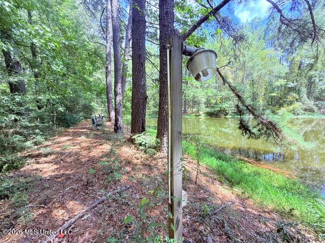 3751 Mound Road Northeast Wesson, MS 39191 - Photo 49 of 73 IMG_6132 - Copy