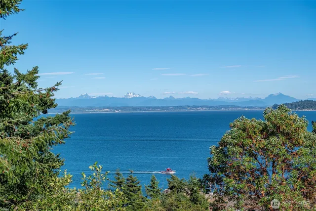 a view of a lake with a city