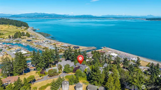 a backyard of a house with large trees and entertaining space