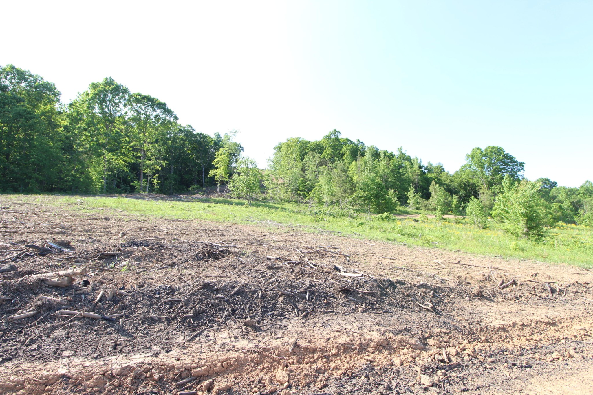 2 Dogtown Road Ten Mile, TN 37880 - Photo 10 of 33 Gallery Image 10