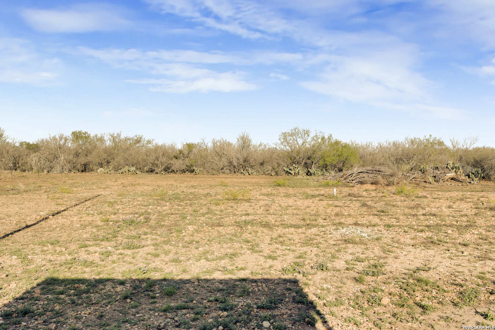 2811 Cr 467 Devine, TX 78016 - Photo 5 of 25