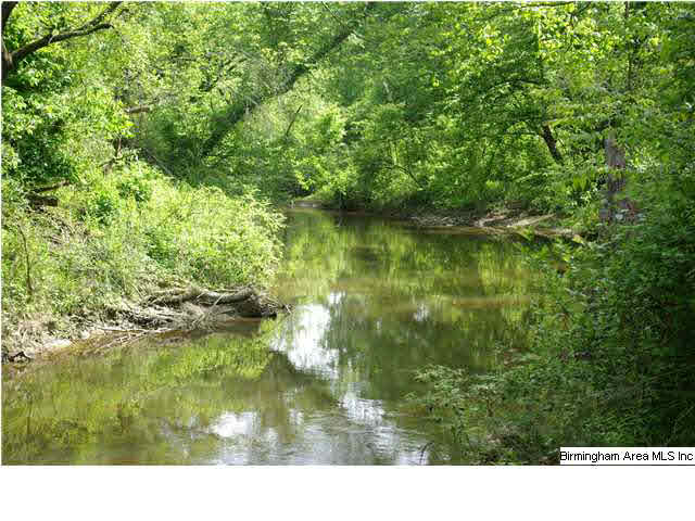 Shoal Creek Road, Unit 56 Ashville, AL 35953 - Photo 2 of 21