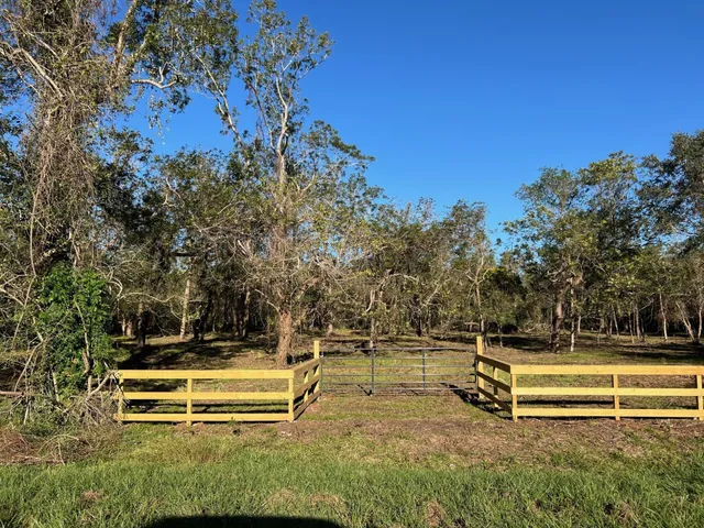 a view of a yard with a bench and trees