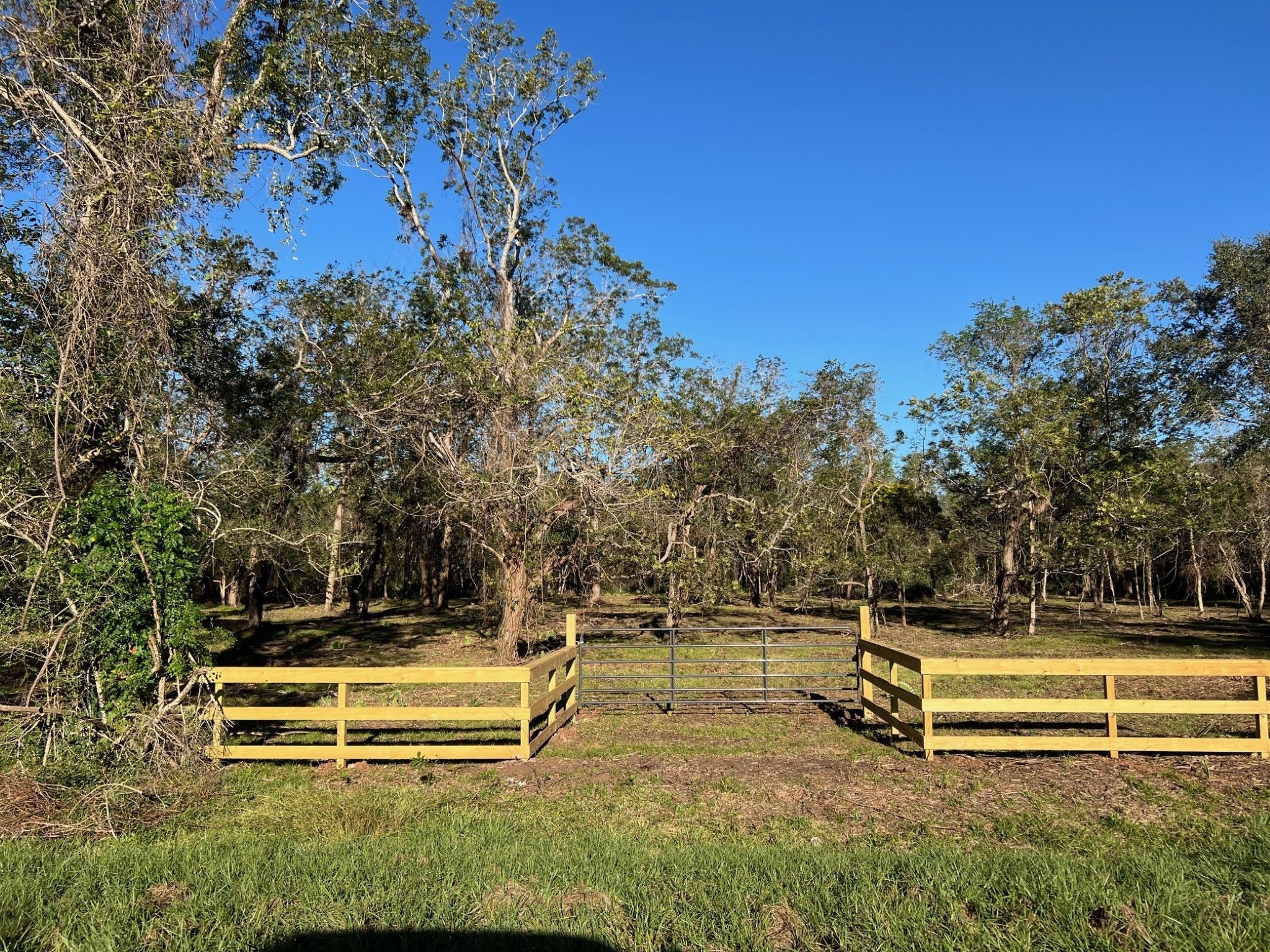 a view of a yard with a bench and trees