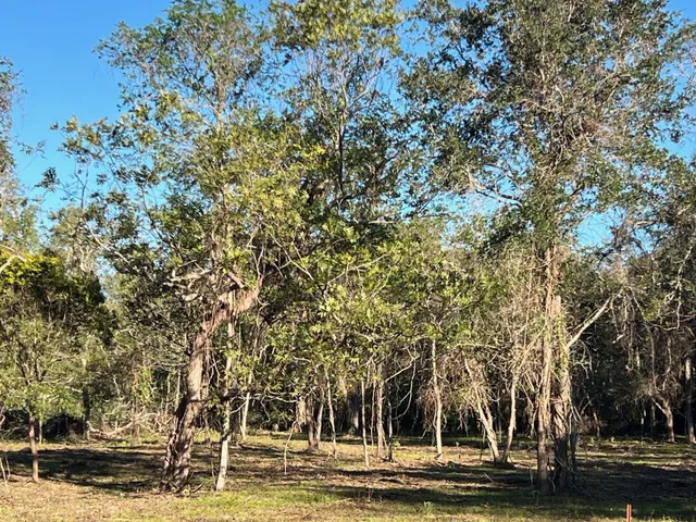 a view of a fountain in front of a building