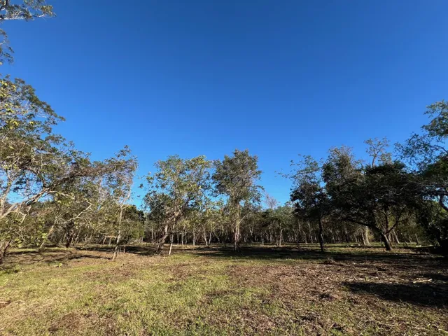 a view of a lake view with large trees