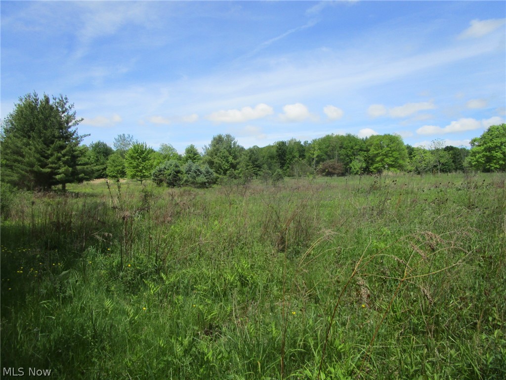 Vl Doyle Road Jefferson, OH 44047 - Photo 38 of 42