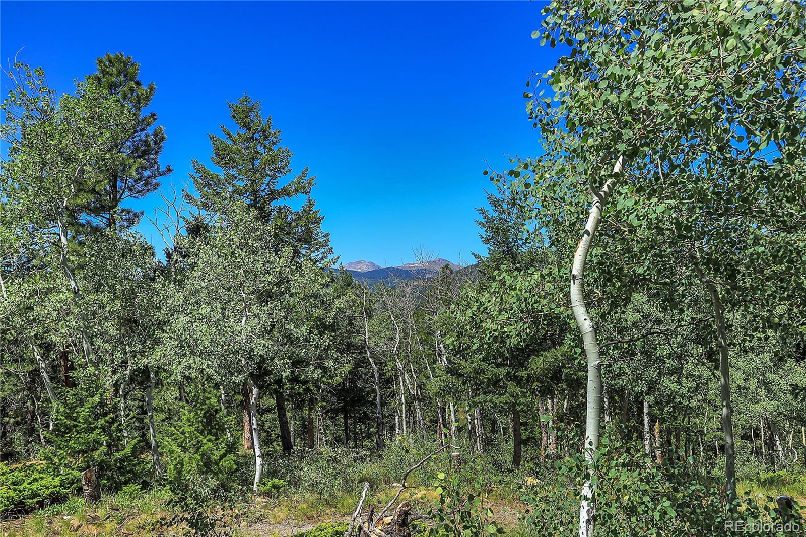 4 Hughesville Road Black Hawk, CO 80422 - Photo 24 of 29 a view of a lake with a tree in the background