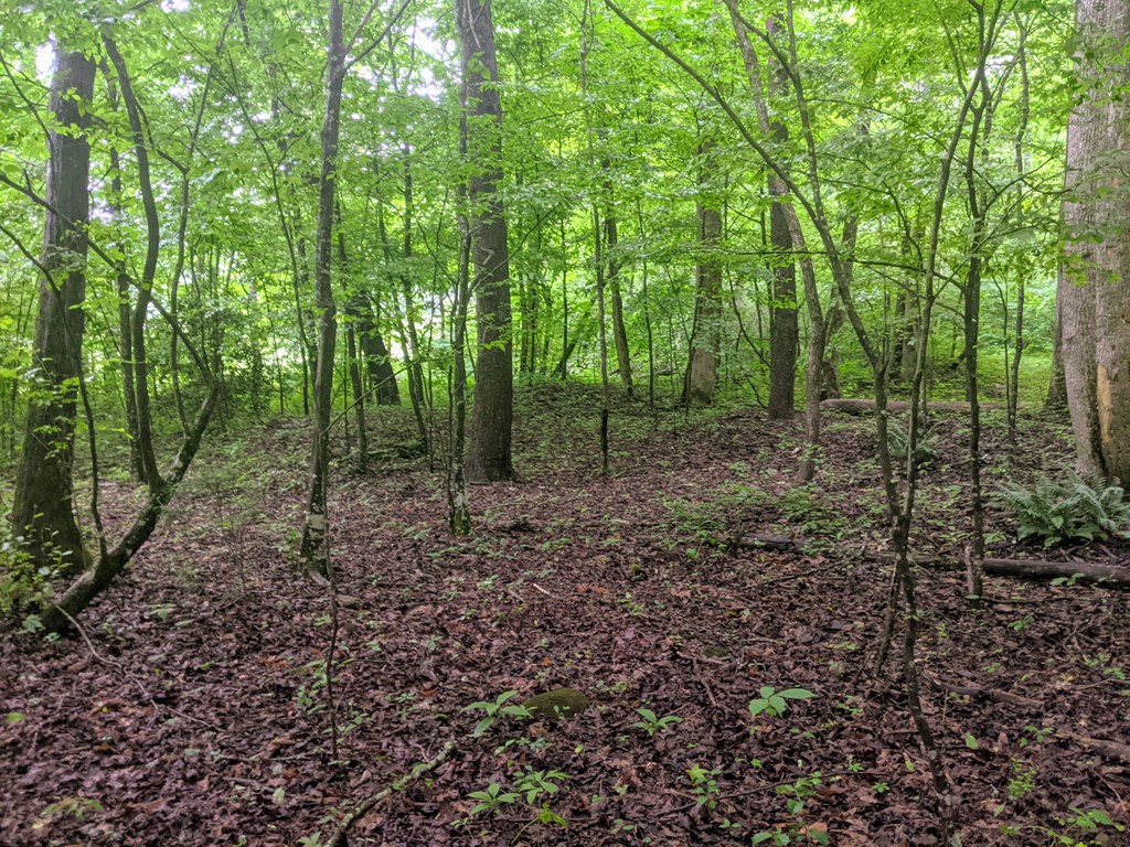 Stover Creek