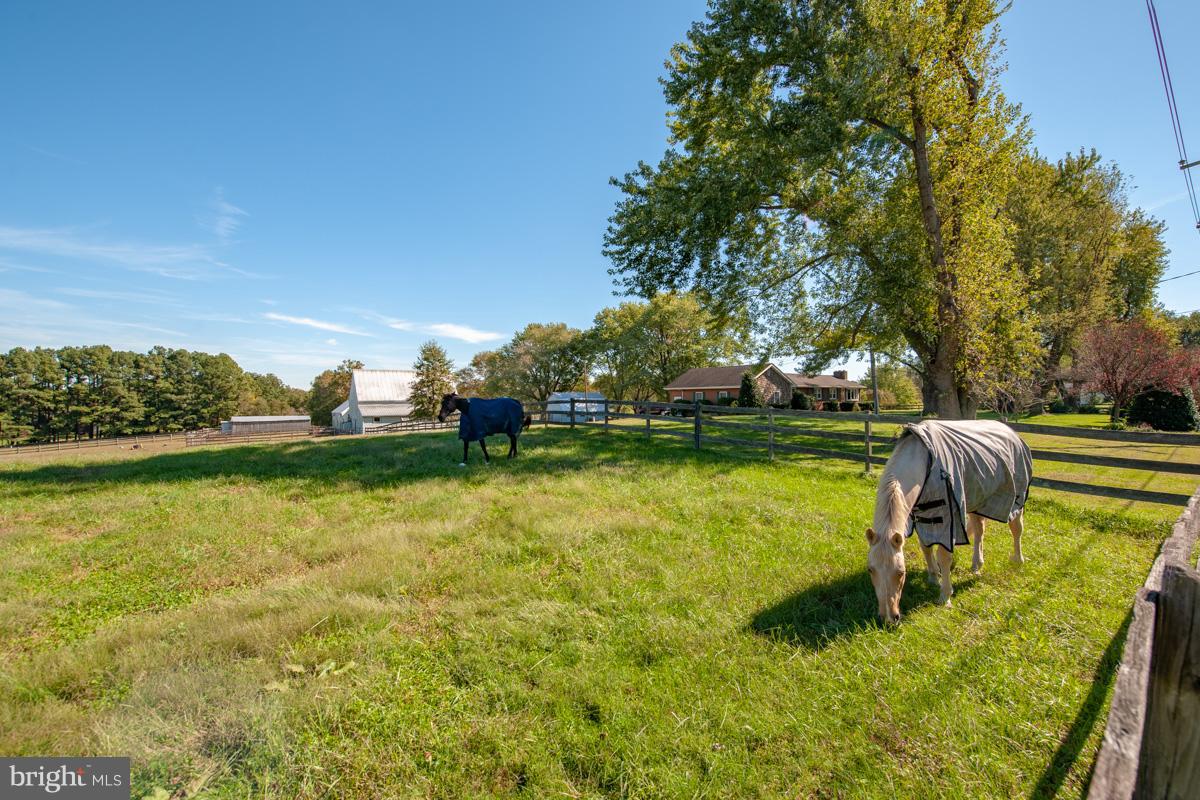 3395 Davidsonville Road Davidsonville, MD 21035 - Photo 26 of 28 Gallery Image 26