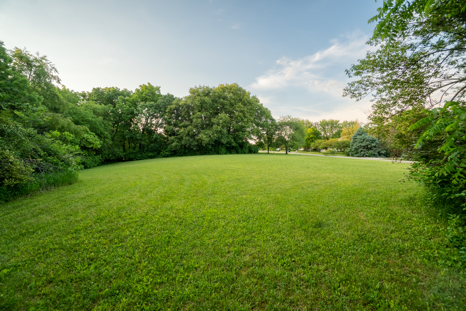 0 Lemke Drive Byron, IL 61010 - Photo 11 of 16 a view of a field with trees in the background