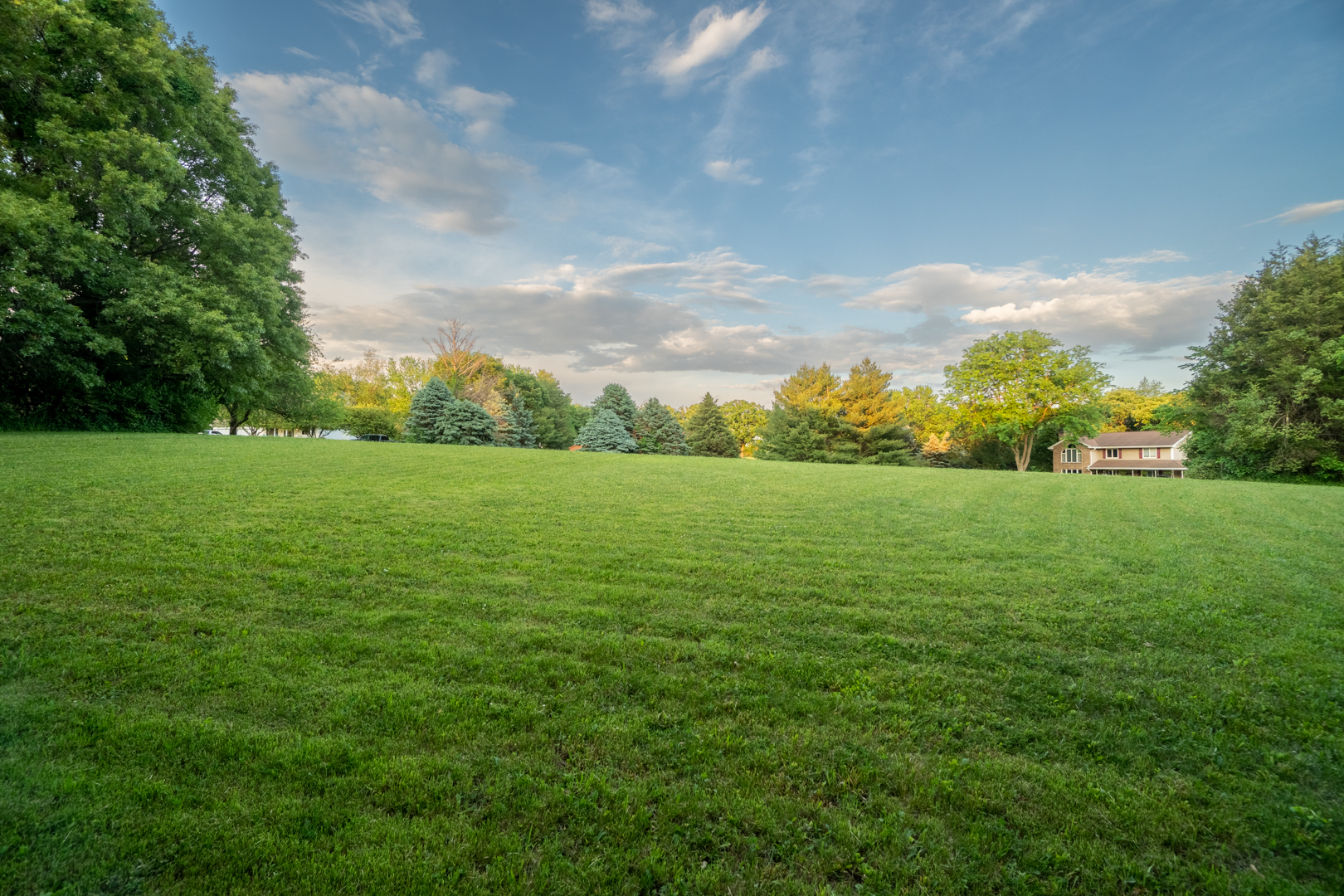 0 Lemke Drive Byron, IL 61010 - Photo 12 of 16 a view of a big yard with plants and large trees