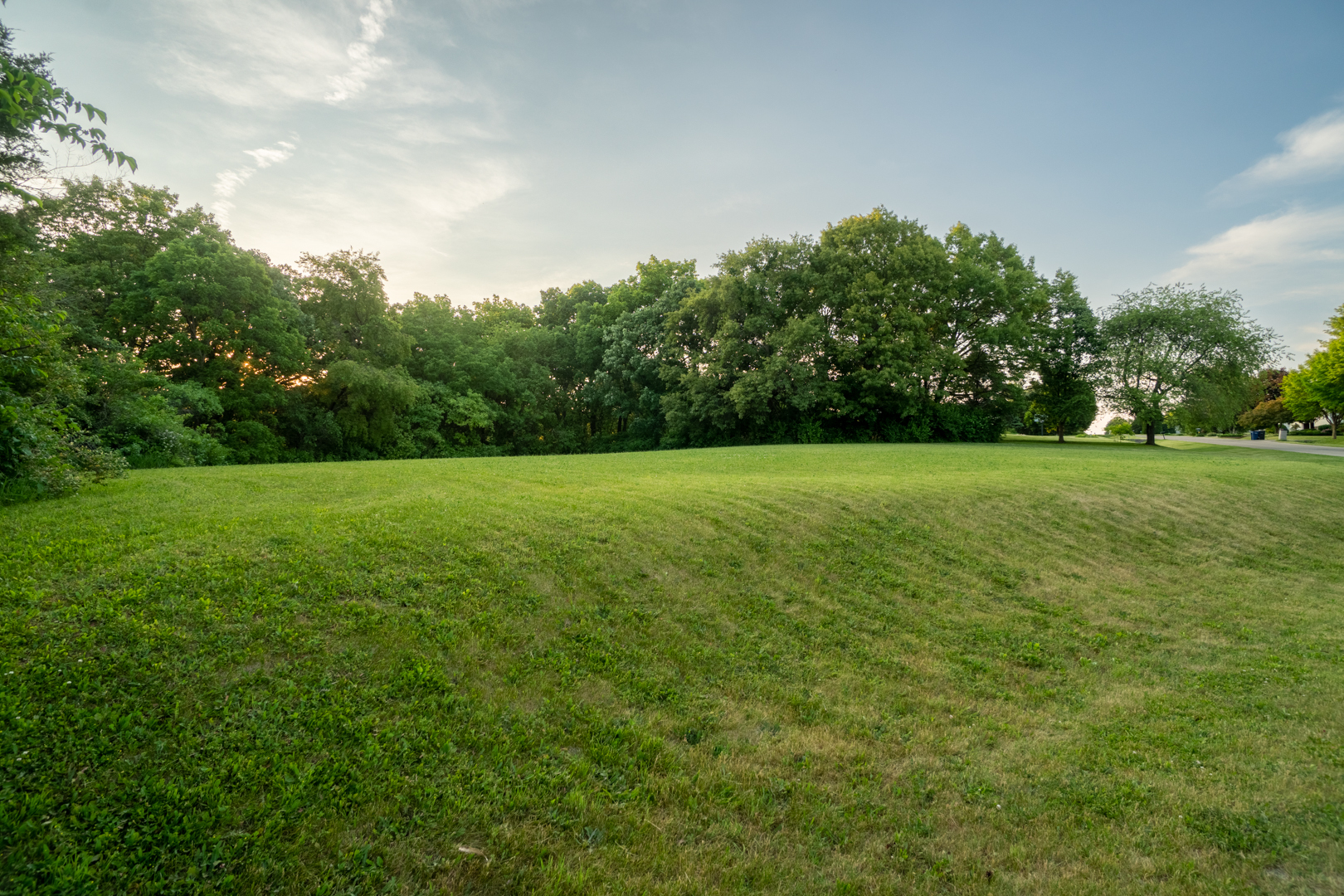 0 Lemke Drive Byron, IL 61010 - Photo 10 of 16 a view of a green field with trees in the background