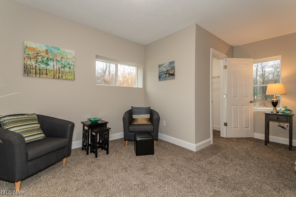 9865 Chillicothe Road Kirtland, OH 44094 - Photo 19 of 36 Sitting room featuring carpet flooring