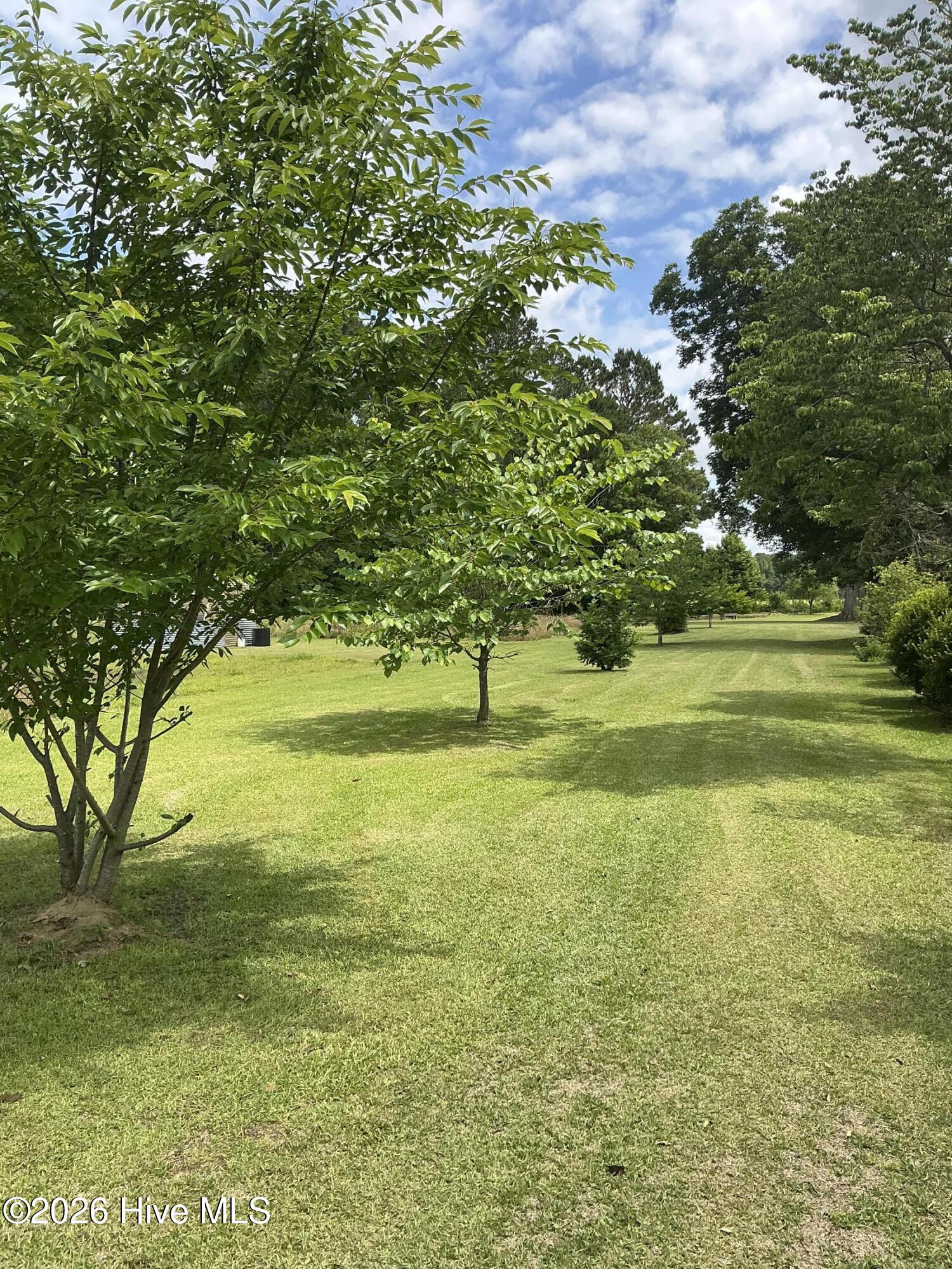 1262 Richardson Road Bladenboro, NC 28320 - Photo 13 of 46 IMG_1222