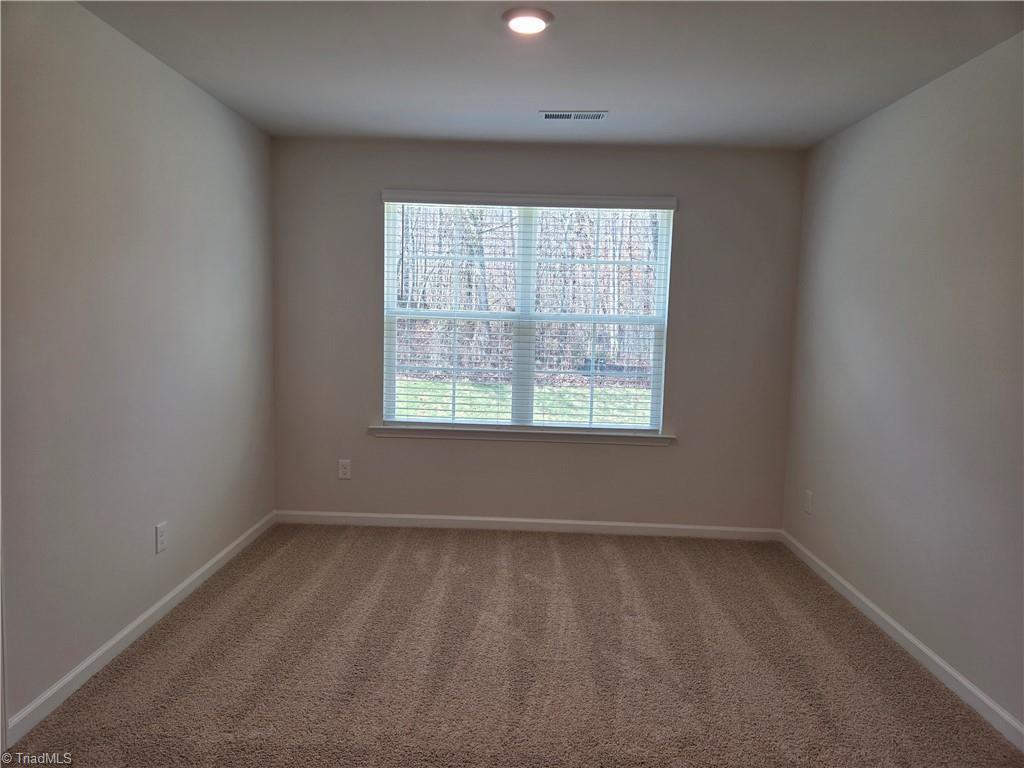 170 Chessie Road Mocksville, NC 27028 - Photo 18 of 24 Gallery Image 18