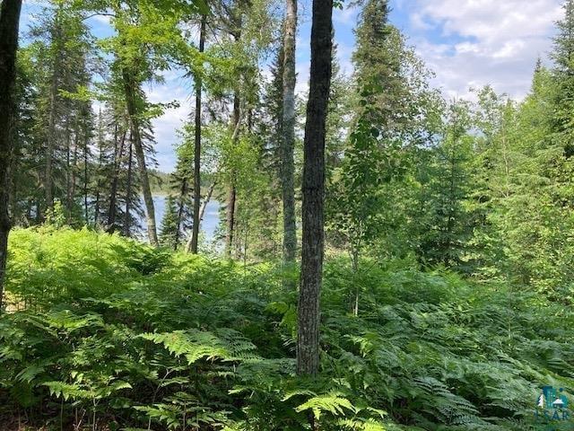 11919 Luna Lake Road Side Lake, MN 55781 - Photo 18 of 23