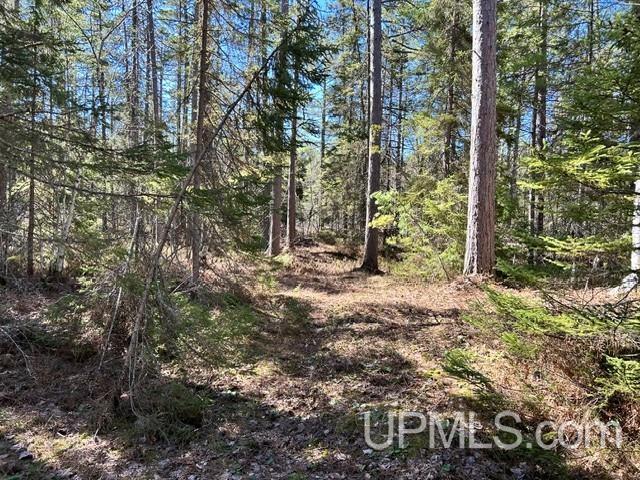 61 Little Rice Lk Road Lake Linden, MI 49945 - Photo 5 of 29