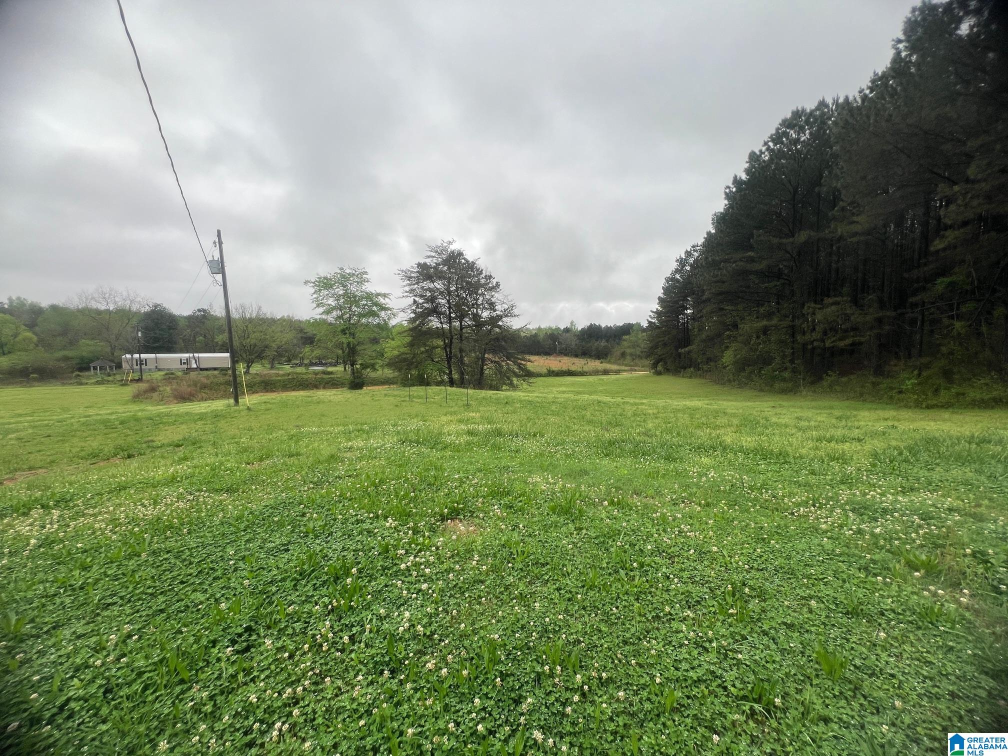 11970 Lost Road Berry, AL 35546 - Photo 18 of 32