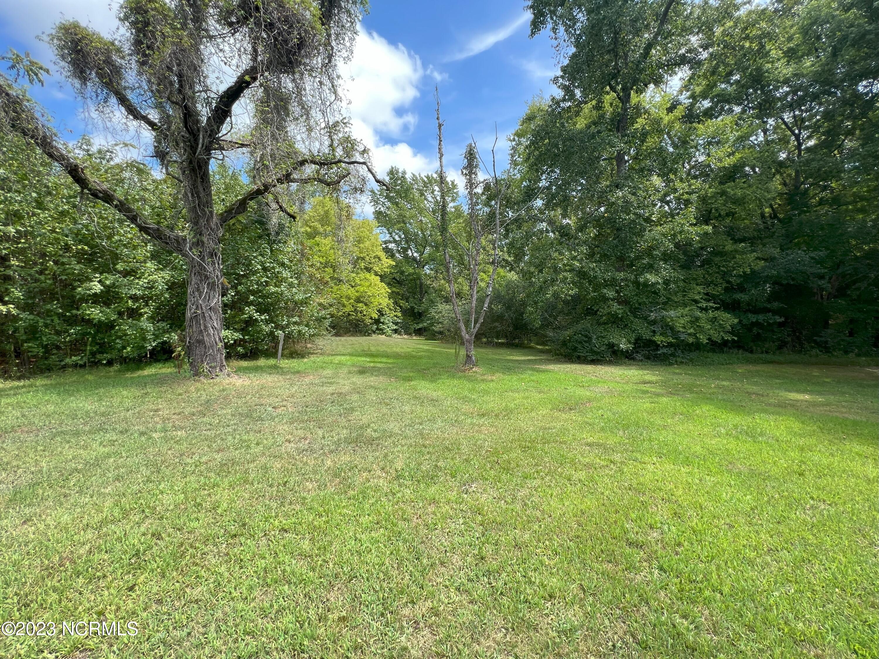 6408 Mitchell Mill Road Zebulon, NC 27597 - Photo 11 of 29 8(1)