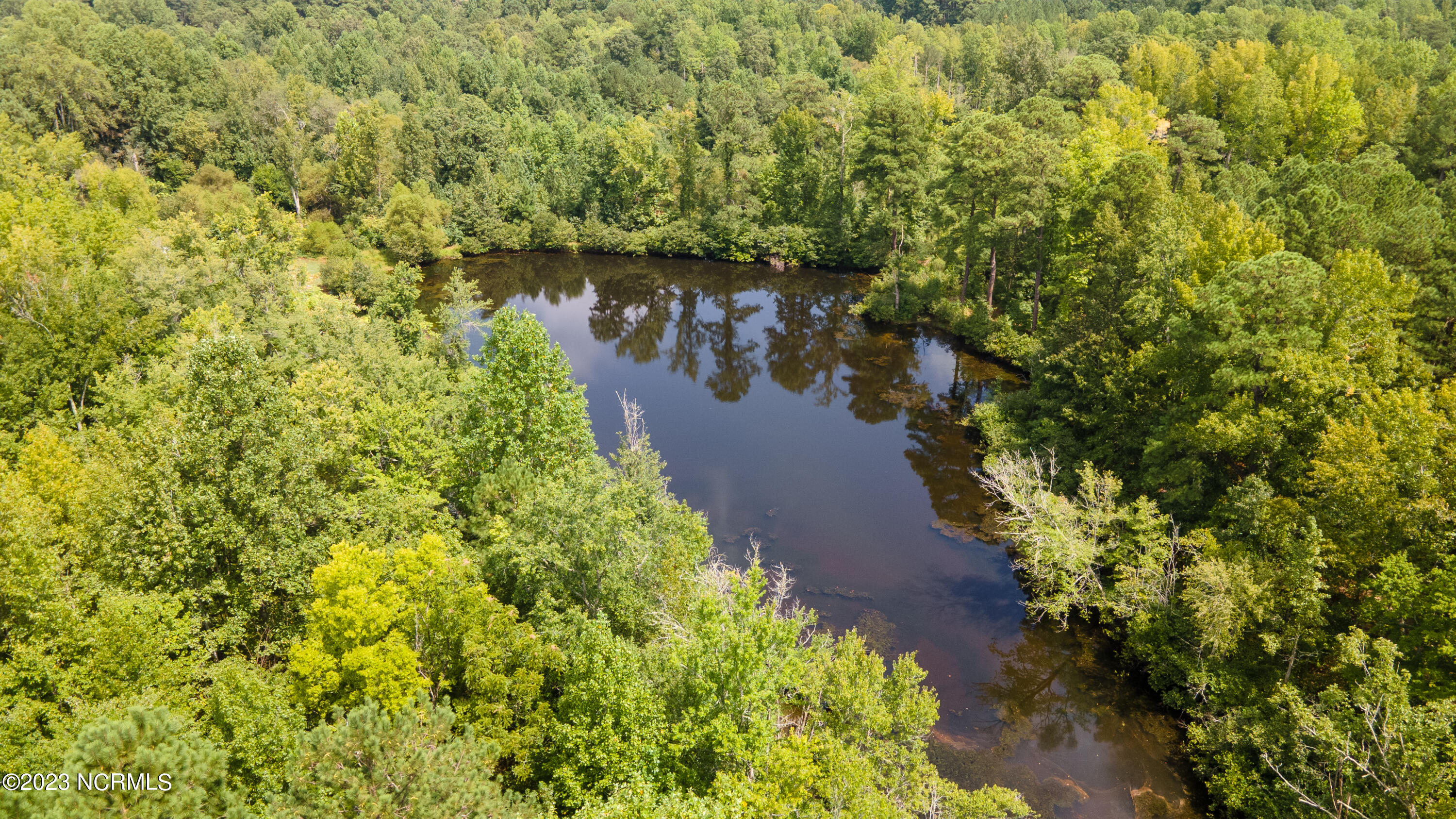 6408 Mitchell Mill Road Zebulon, NC 27597 - Photo 4 of 29 2