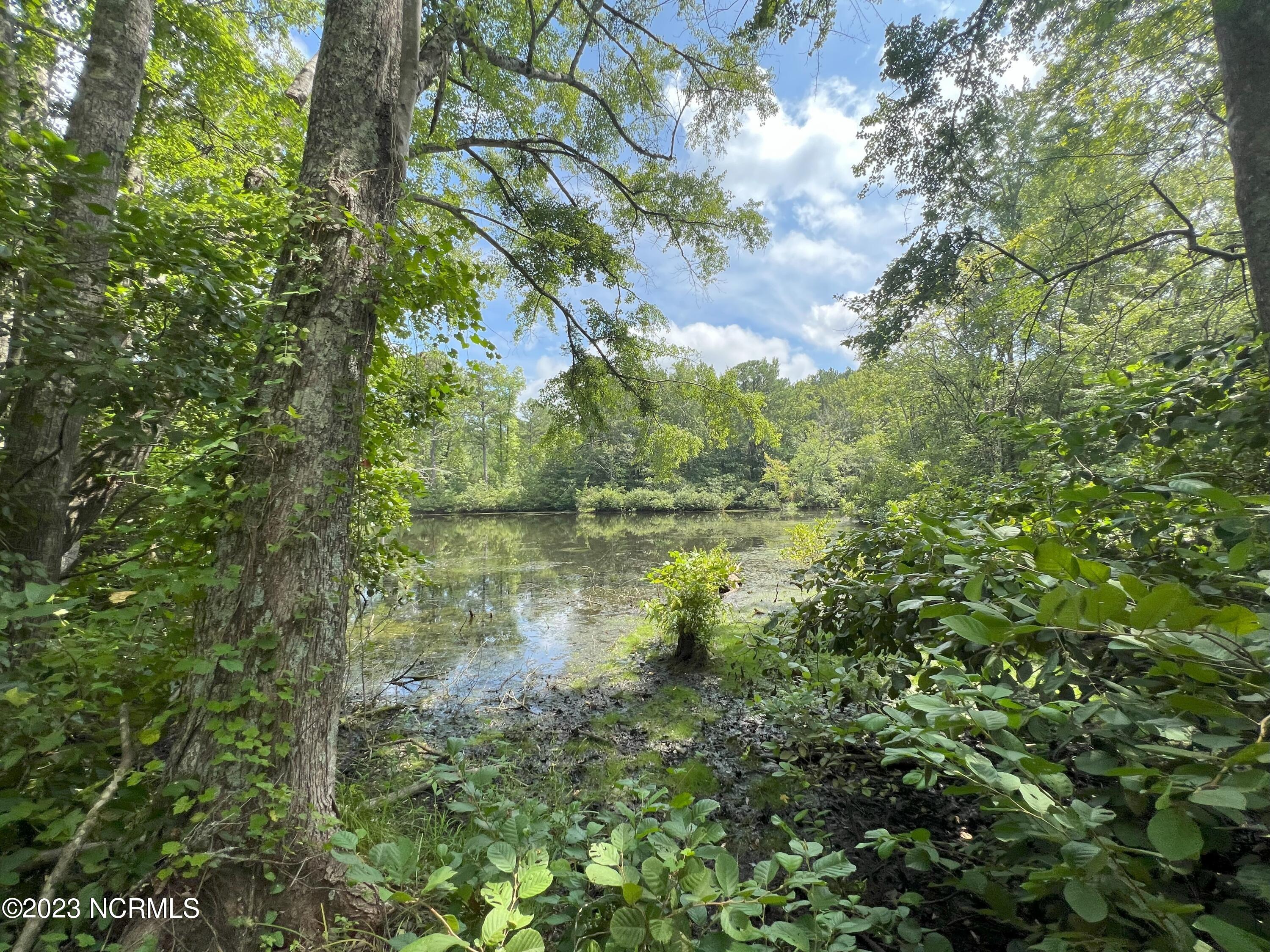 6408 Mitchell Mill Road Zebulon, NC 27597 - Photo 5 of 29 2