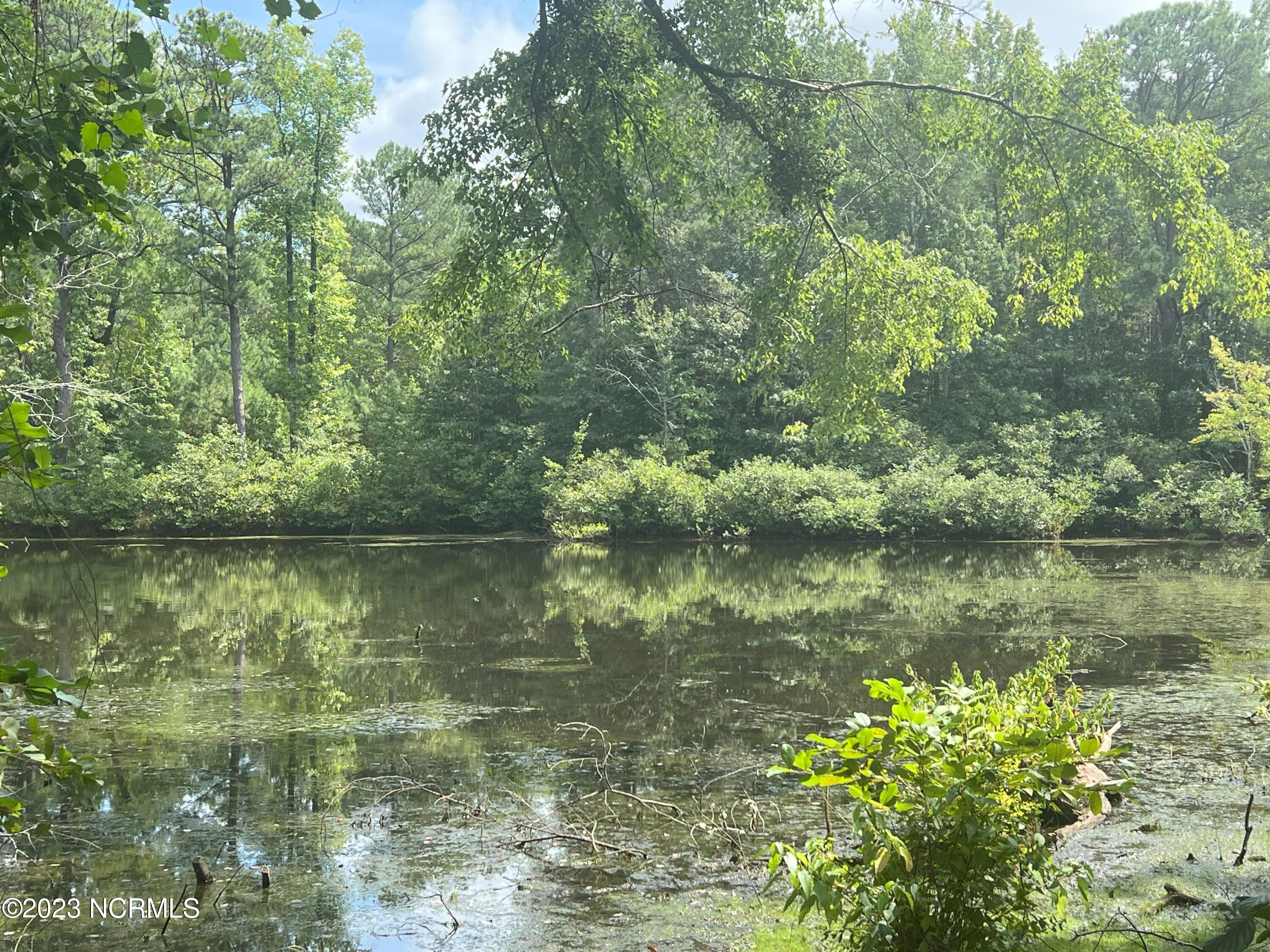 6408 Mitchell Mill Road Zebulon, NC 27597 - Photo 6 of 29 2 (1)