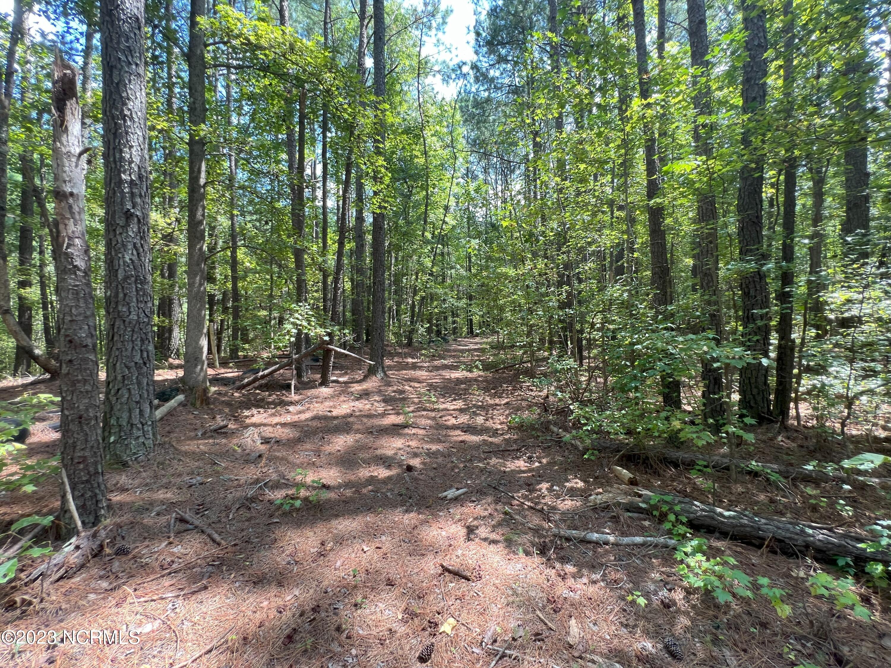 6408 Mitchell Mill Road Zebulon, NC 27597 - Photo 7 of 29 3(1)