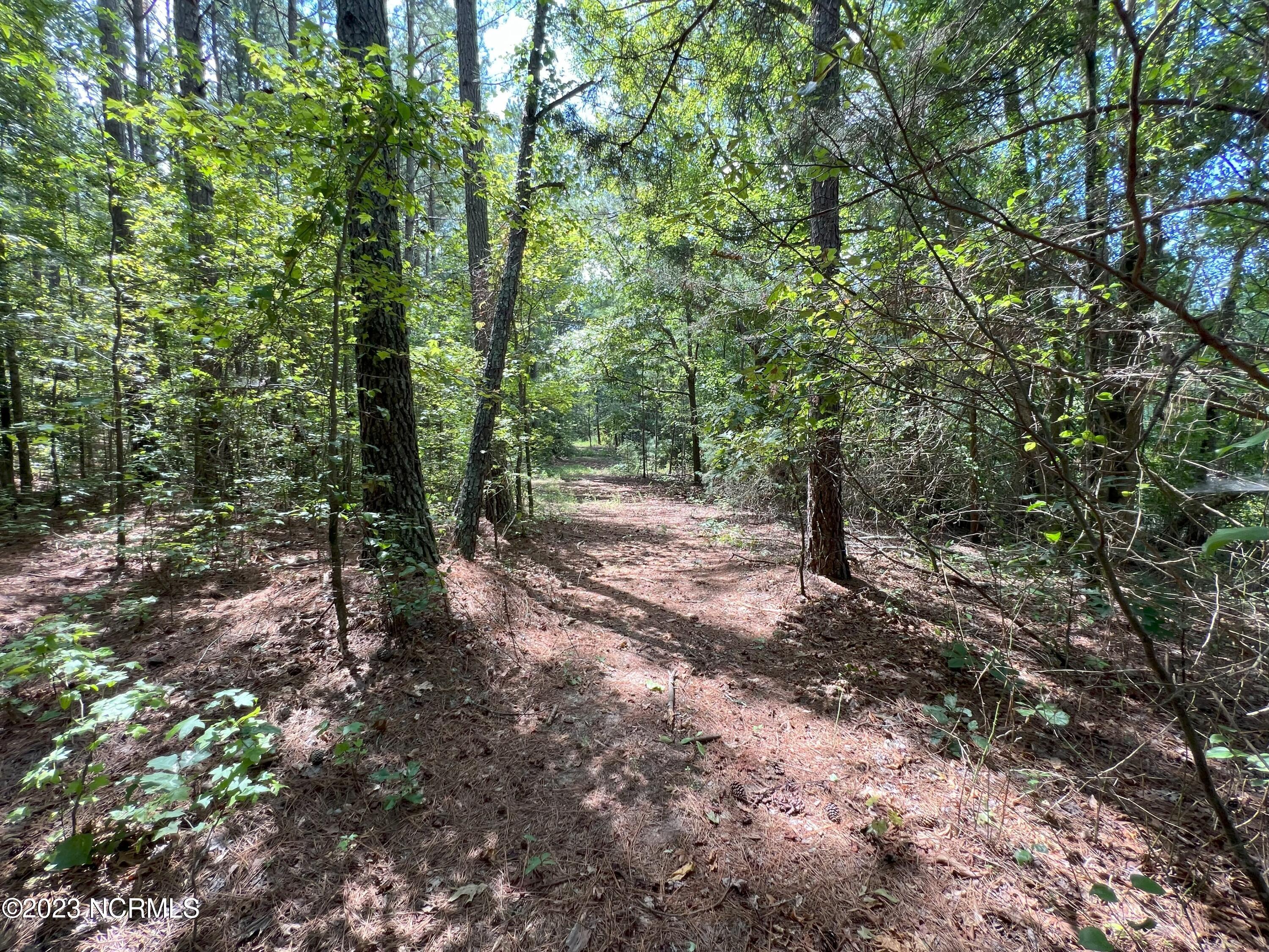 6408 Mitchell Mill Road Zebulon, NC 27597 - Photo 8 of 29 3(2)