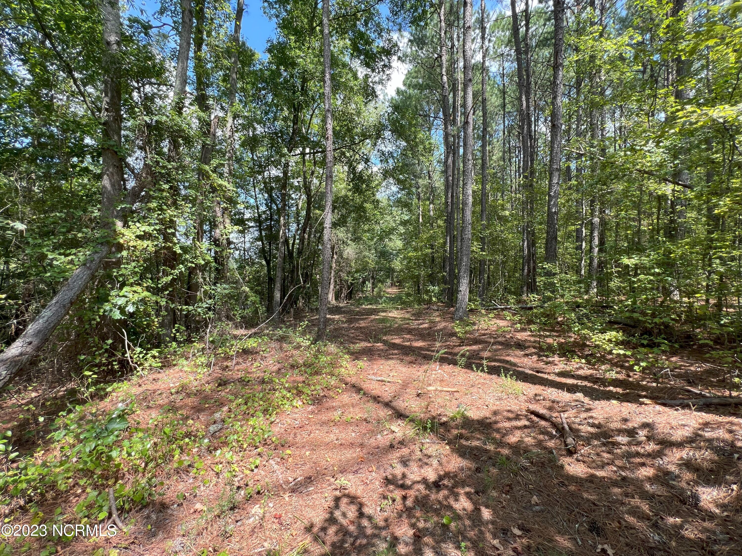 6408 Mitchell Mill Road Zebulon, NC 27597 - Photo 10 of 29 6