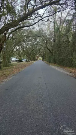 a view of a yard with a tree