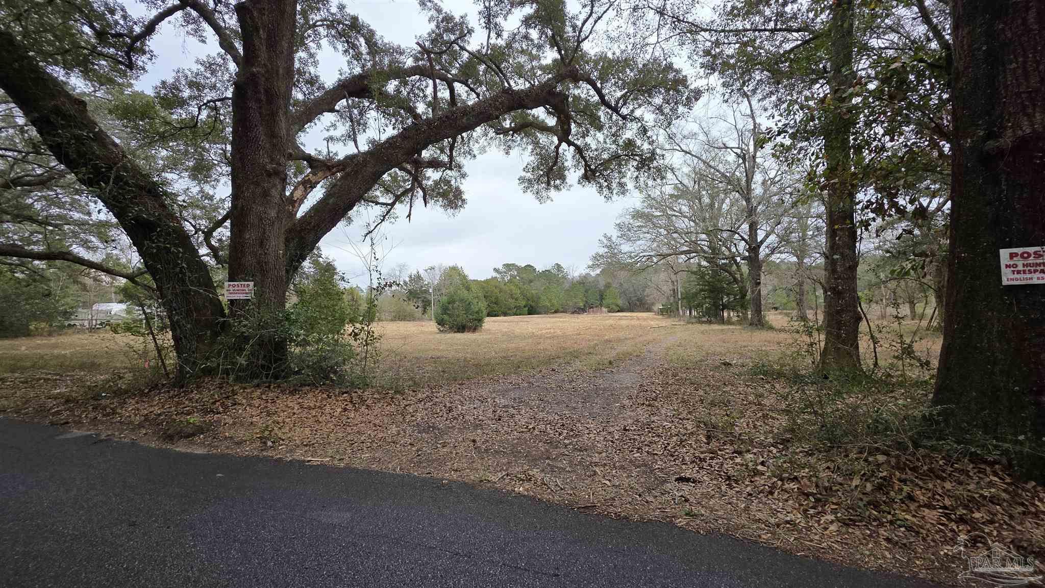 Lot 2 Tidwell Road Pace, FL 32571 - Photo 4 of 14