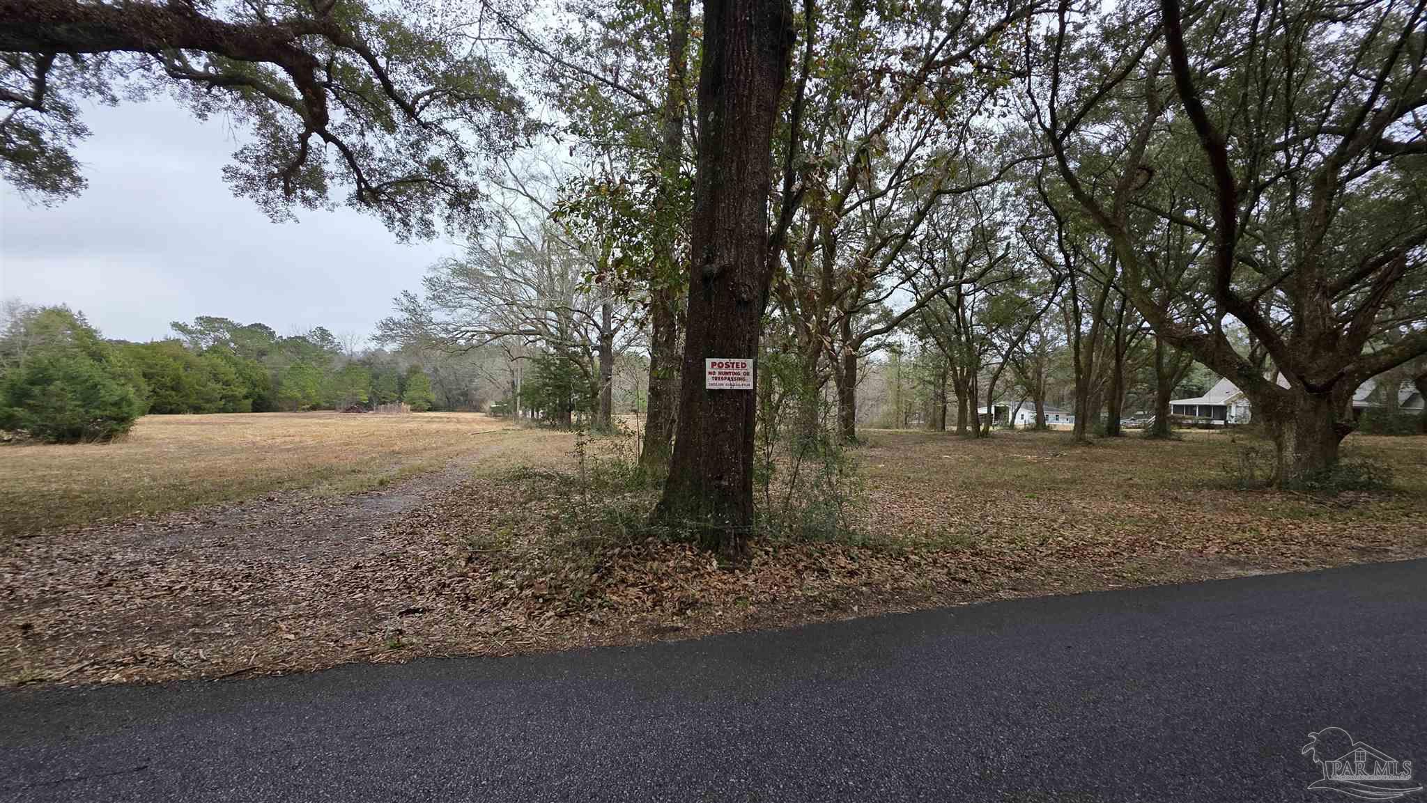 Lot 2 Tidwell Road Pace, FL 32571 - Photo 5 of 14