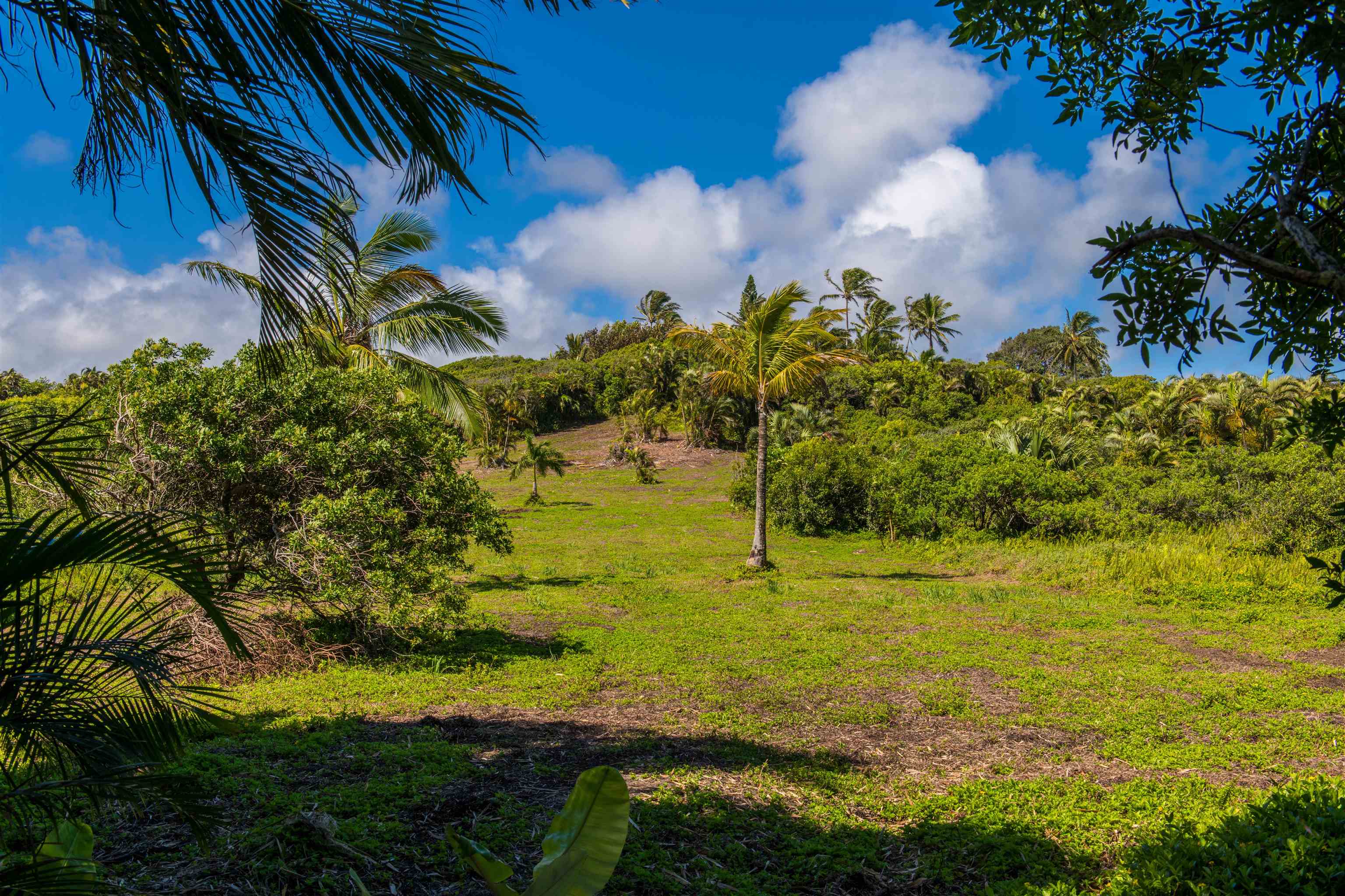 601 North Honokala Road, Unit A Haiku, HI 96708 - Photo 22 of 26