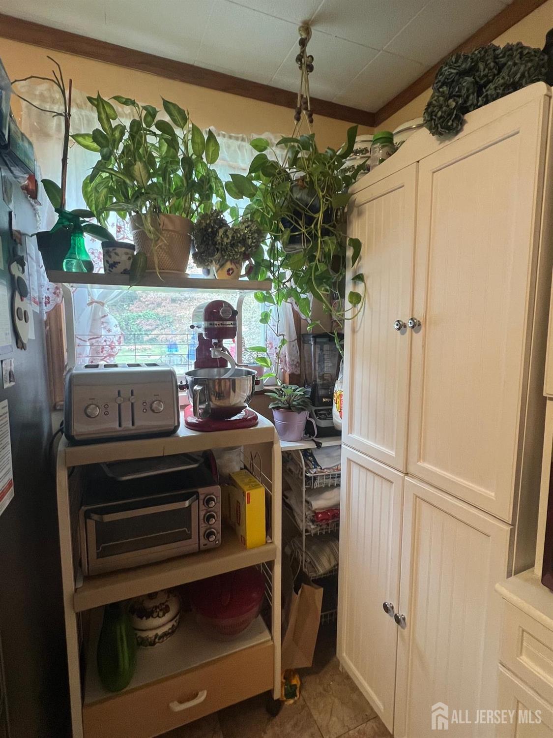 44 Tunison Road New Brunswick, NJ 08901 - Photo 6 of 32 Gallery Image 6