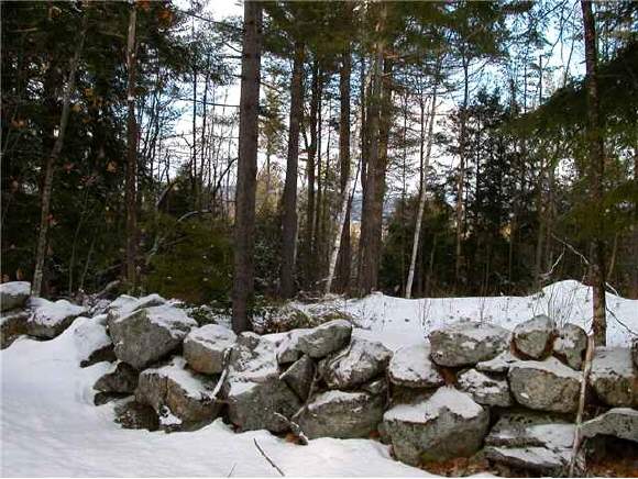 21 Cass Mill Road Hill, NH 03243 - Photo 1 of 1