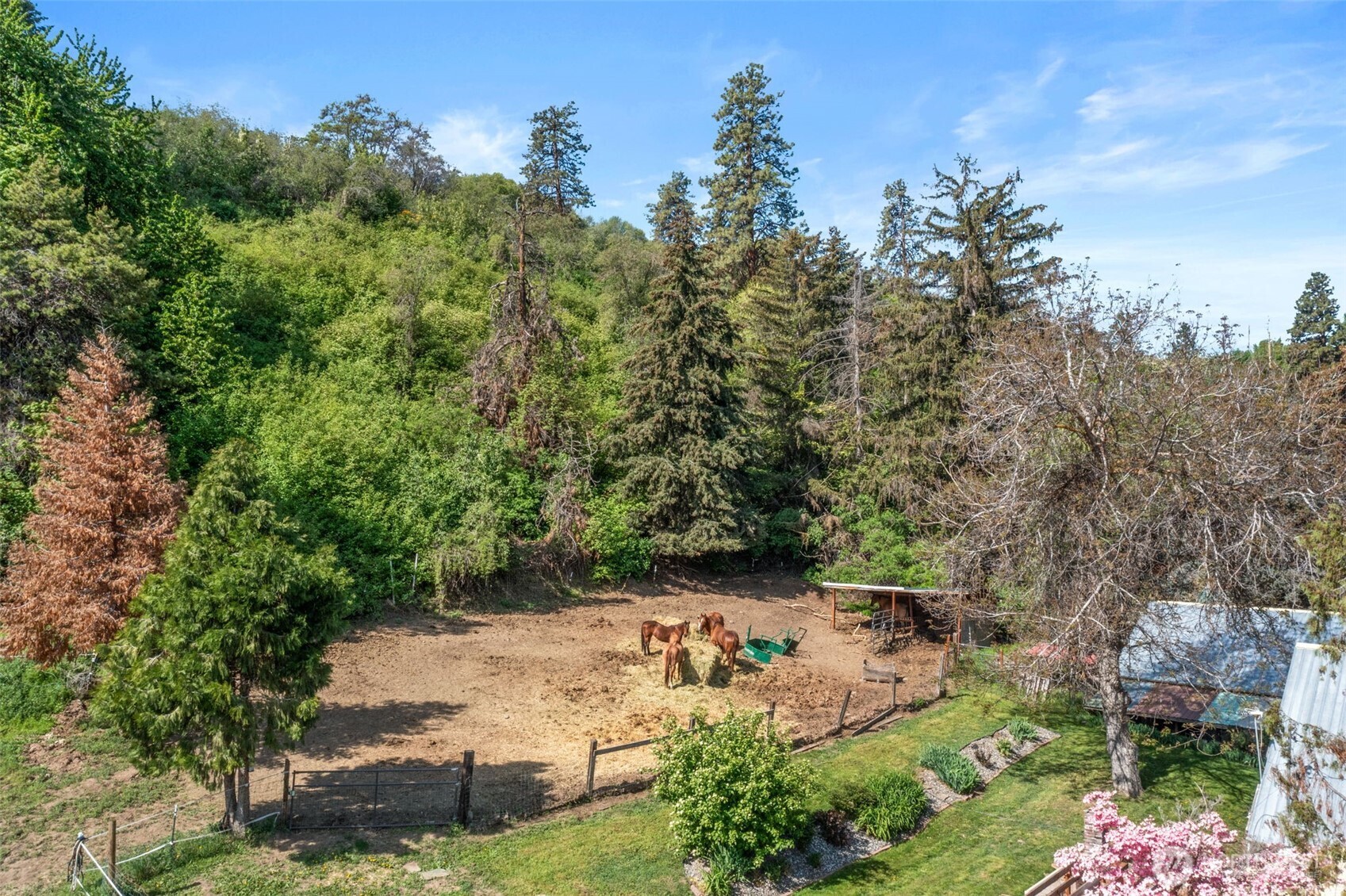 4693 Valley Street Monitor, WA 98836 - Photo 34 of 40 a view of backyard with green space