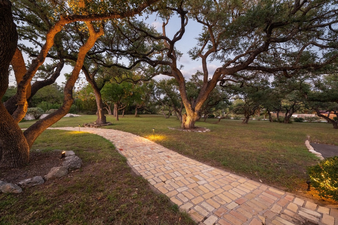 5200 Bell Springs Road Dripping Springs, TX 78620 - Photo 18 of 36 a view of yard with tree