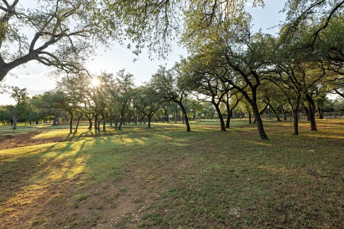 5200 Bell Springs Road Dripping Springs, TX 78620 - Photo 5 of 36 a view of outdoor space with trees
